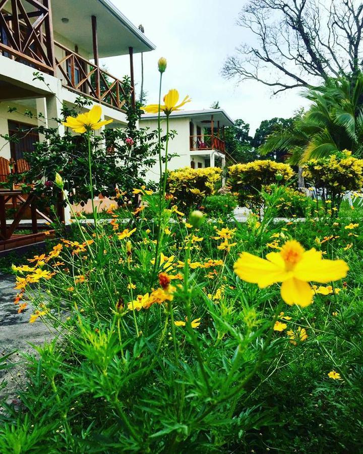 Hotel Finca Playa Venecia Ривас Экстерьер фото